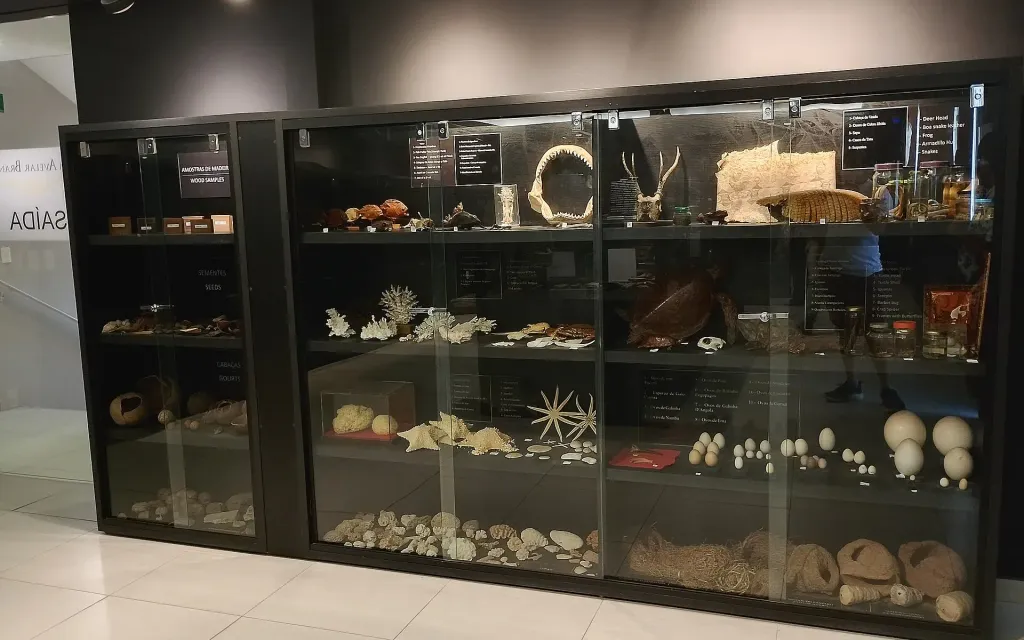 Museu Dom Avelar Brandão Vilela