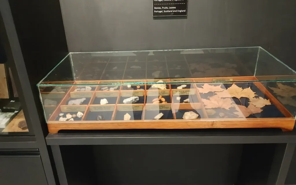 Museu Dom Avelar Brandão Vilela
