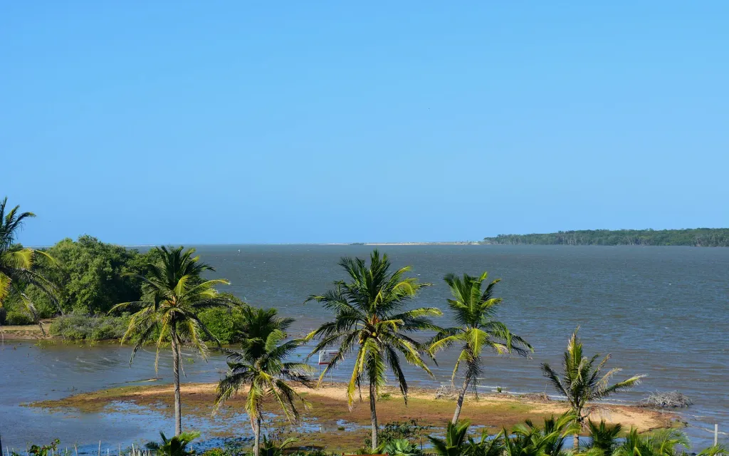 Área de Proteção Ambiental Delta do Parnaíba