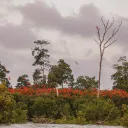 Área de Proteção Ambiental Delta do Parnaíba