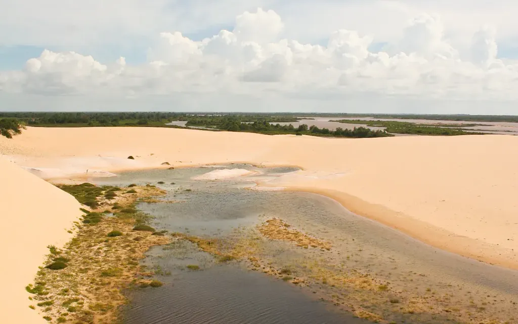 Área de Proteção Ambiental Delta do Parnaíba