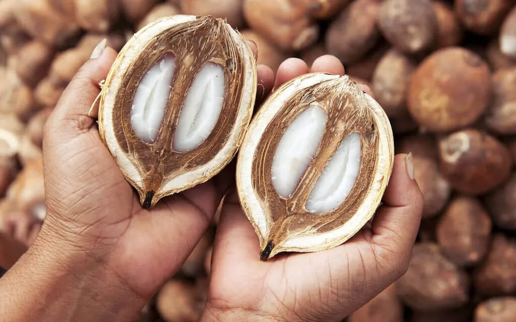 Beiju com coco babaçu no Piauí - foto 2