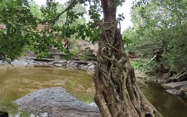 Cachoeira  das Corujas no Piauí - foto 3