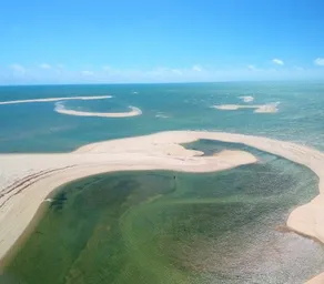 Cajueiro da Praia