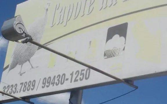 Capote da Dalva em Teresina - foto 3