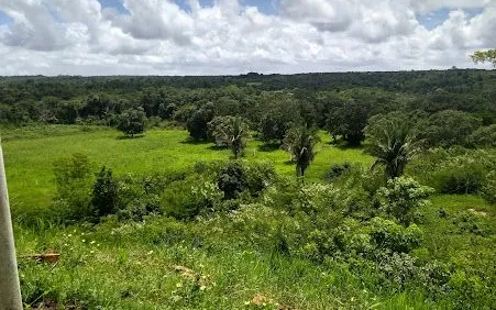 Fazenda Vale do Leite em Teresina - foto 4