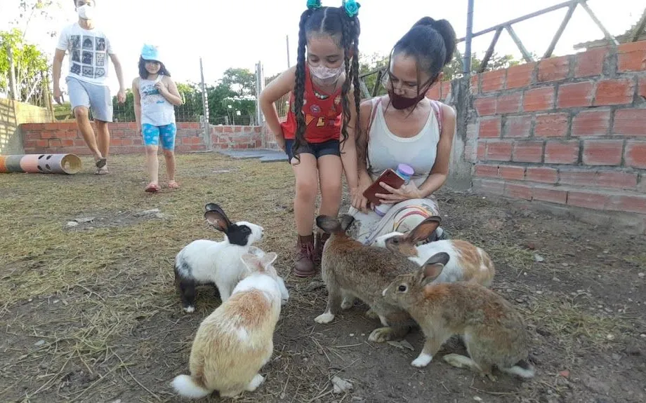 Fazenda Vale do Leite em Teresina - foto 5