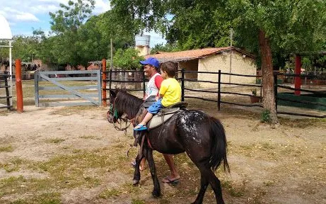 Fazendinha Bernard´s em Altos - foto 1