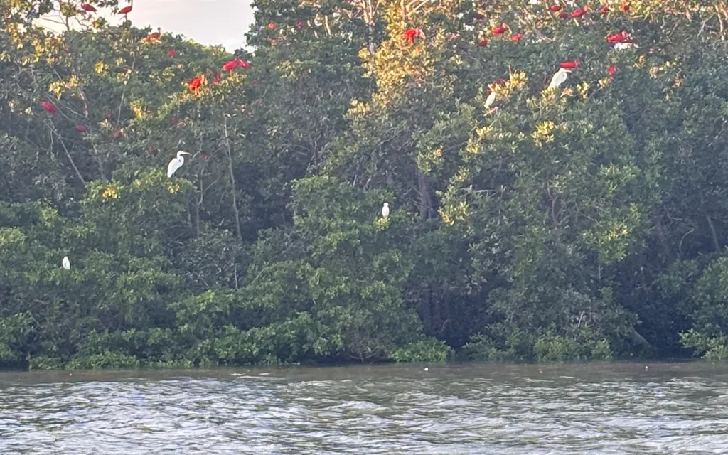 Guará Transfer e Passeios - Rota das Emoções no Piauí - foto 8