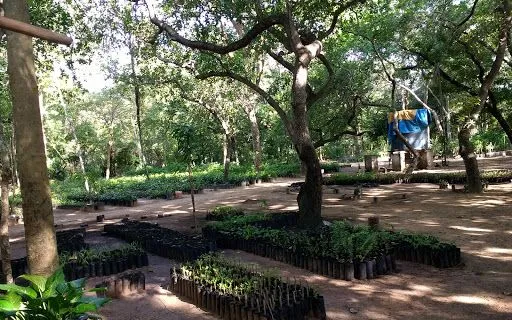 Jardim Botânico de Teresina em Teresina - foto 3