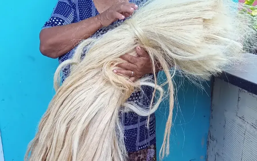 Associação Maria dos Agaves em Parnaíba - foto 3
