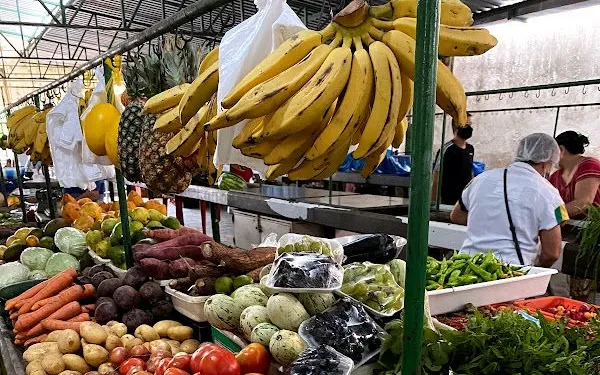 Mercado da Piçarra em Teresina - foto 3
