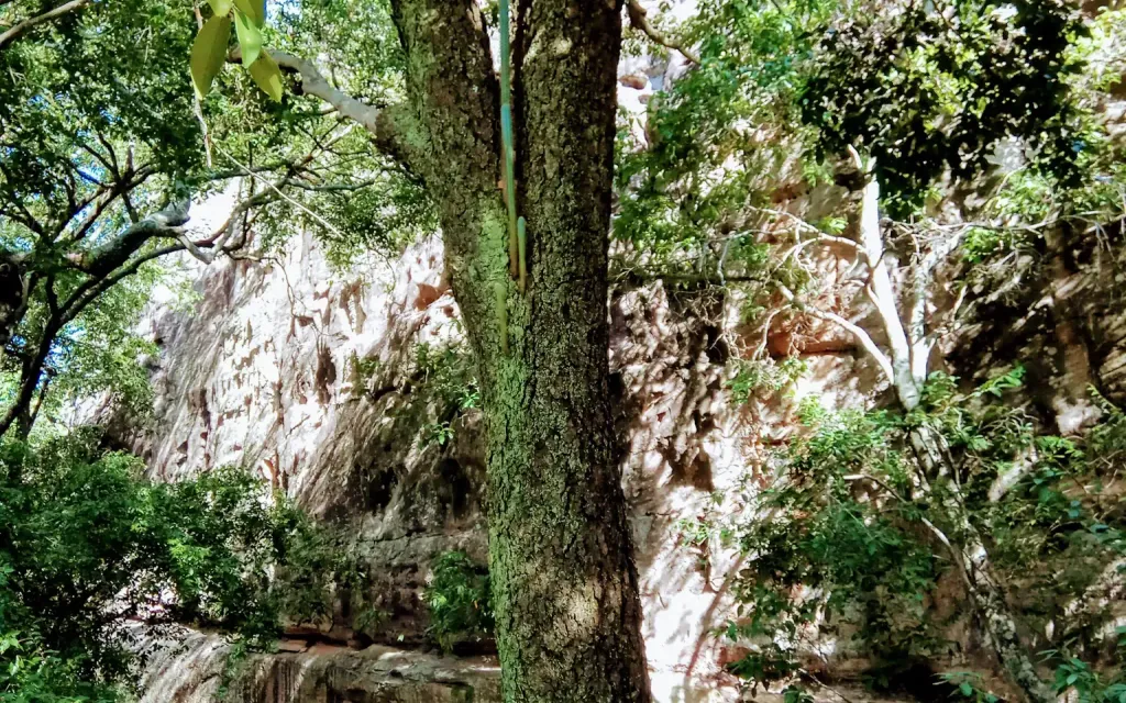 Mirante Janelas do Sertão