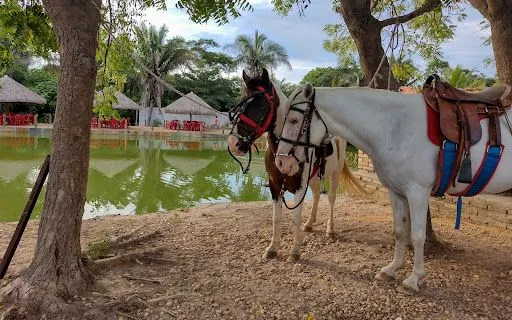 Restaurante e Sítio Mirante do Lago em Teresina - foto 3