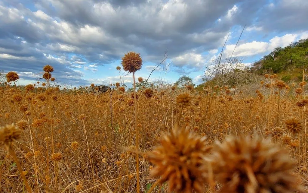 Mirante da Serra de Santo Antônio em Campo Maior - foto 6