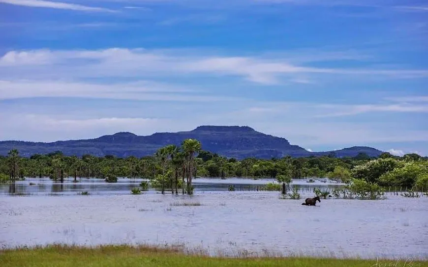 Mirante da Serra de Santo Antônio em Campo Maior - foto 4