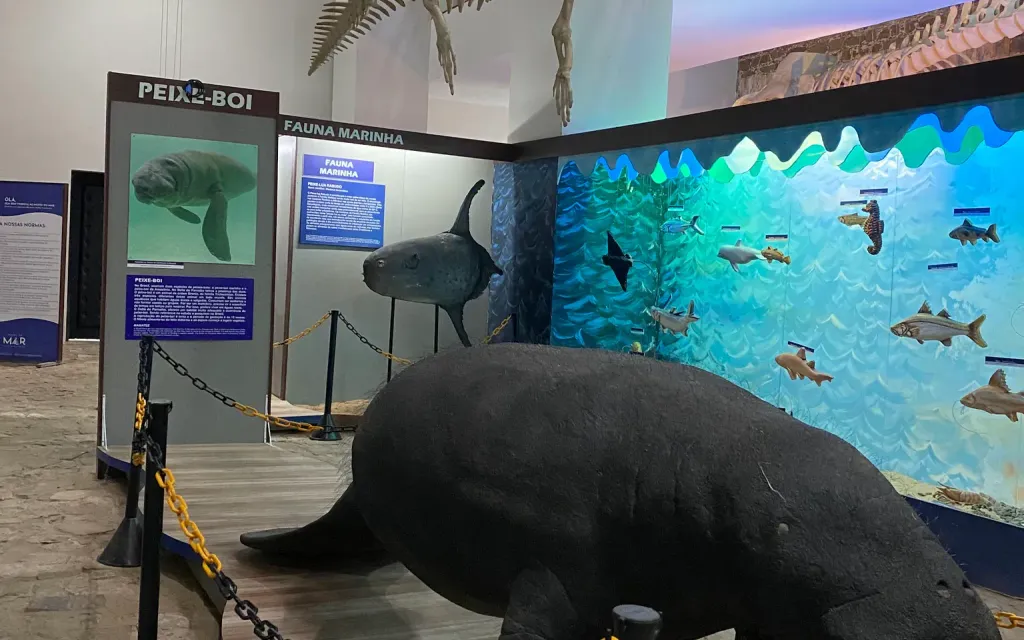 Museu do Mar (PI)