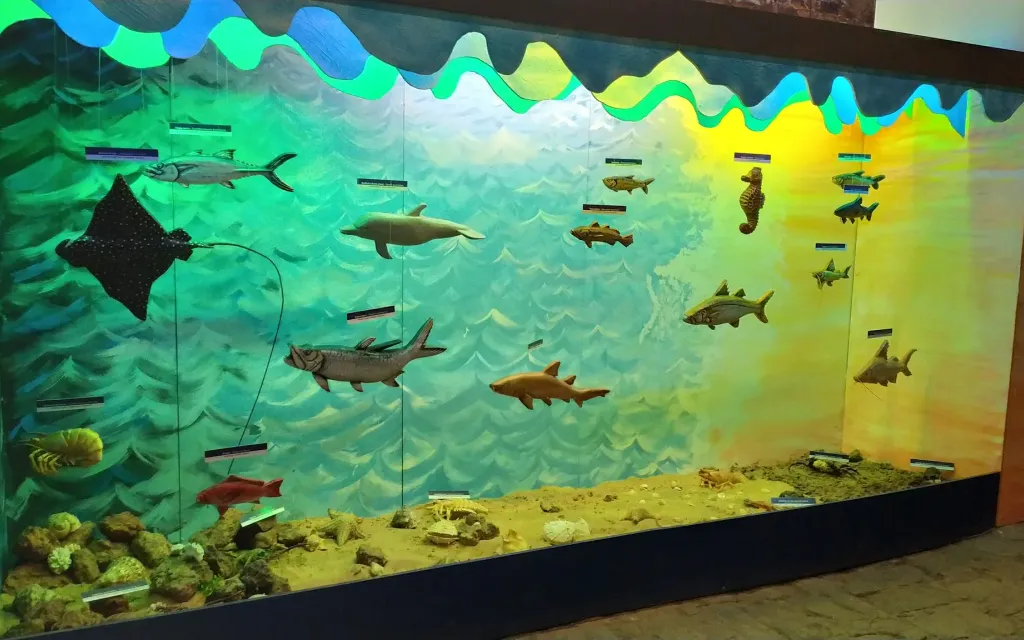 Museu do Mar (PI)