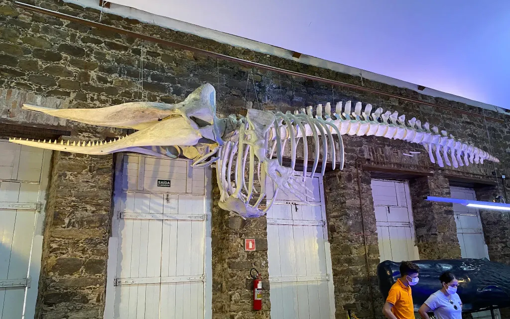 Museu do Mar (PI)