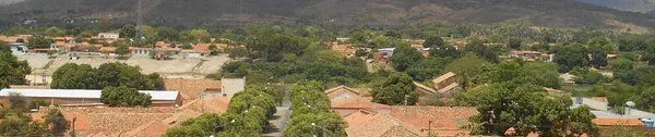 Palmeirais