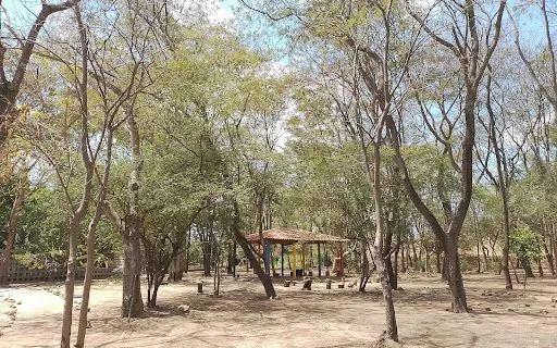 Parque das Crianças de Teresina em Teresina - foto 4