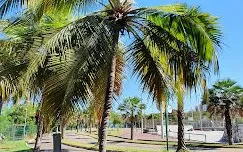 Parque Potycabana em Teresina - foto 1
