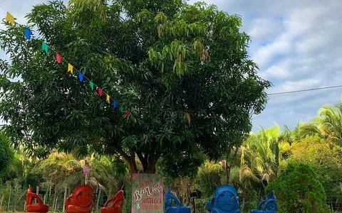 Sítio Alegria em Teresina - foto 3