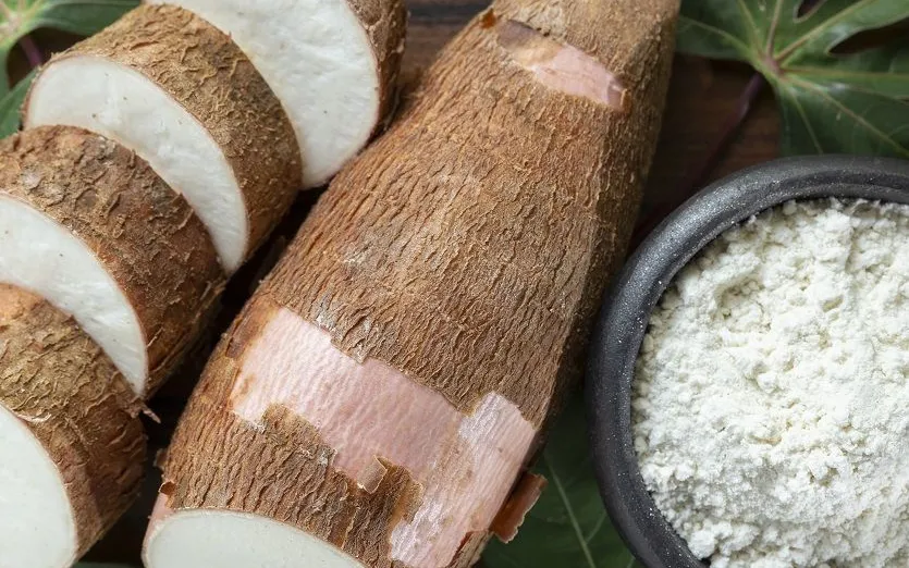 Tapioca em Jatobá do Piauí - foto 4